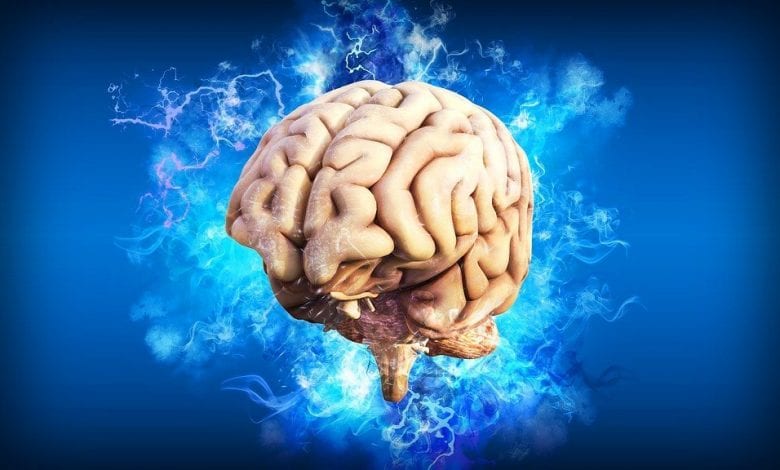Is there a similarity between the human brain and the network of galaxies in the universe?