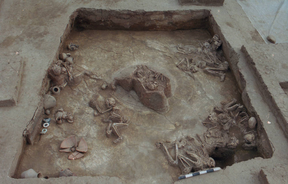 Skeleton remains in the Lajia archaeological site. Credit: IFL Science 
