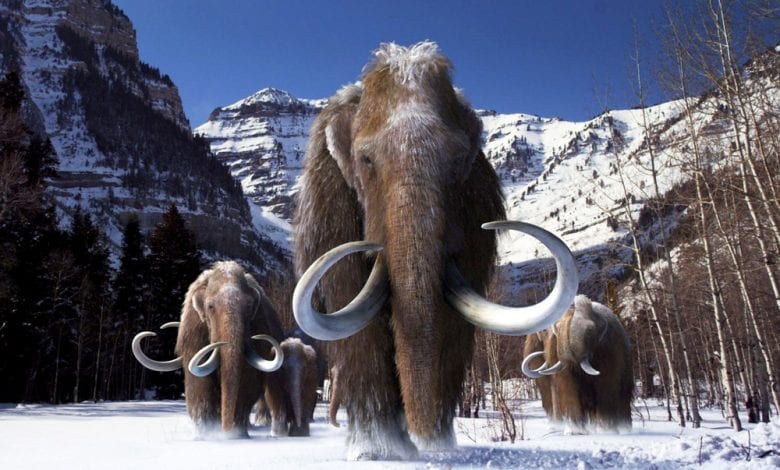 10 Things You Probably Didn't Know About the Last Ice Age — Curiosmos