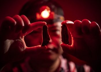 Professor Bo Li, part of the research team, holding two of the crude stone tools discovered on site. Credit: Wolter Peeters