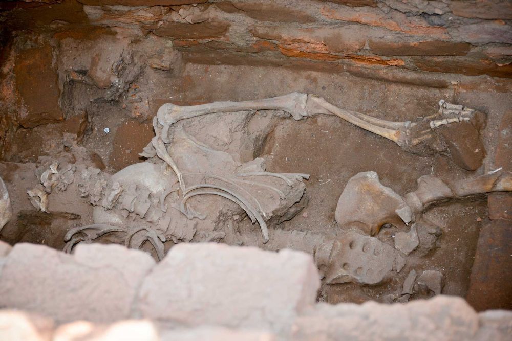 One of the skeletons discovered in the mausoleum. Credit: Elena Berezhnaya