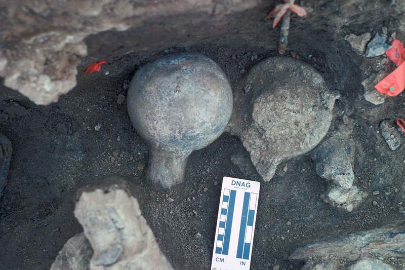 Mastodon Femur Balls discovered in the Cerutti site. Credit: SAN DIEGO NATURAL HISTORY MUSEUM