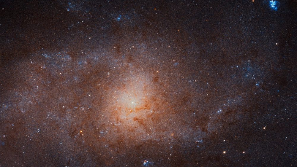 In case you want to see the Triangulum Galaxy in detail through the awestriking zoom tool provided by ESA, follow the link at the bottom of this article. Credit: NASA, ESA, and M. Durbin, J. Dalcanton, and B. F. Williams (University of Washington)