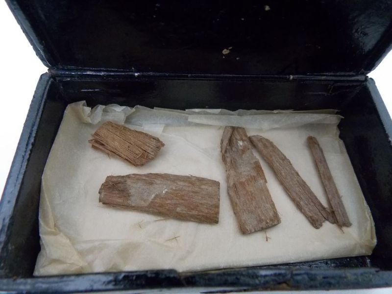 The cedarwood fragments once discovered in the Great Pyramid of Giza. Credit: University of Aberdeen