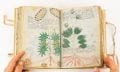 Researchers have failed to solve the mystery of the Voynich Manuscript for more than 100 years. Credit: Facsimile Finder/Youtube
