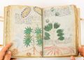 Researchers have failed to solve the mystery of the Voynich Manuscript for more than 100 years. Credit: Facsimile Finder/Youtube