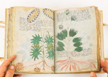Researchers have failed to solve the mystery of the Voynich Manuscript for more than 100 years. Credit: Facsimile Finder/Youtube