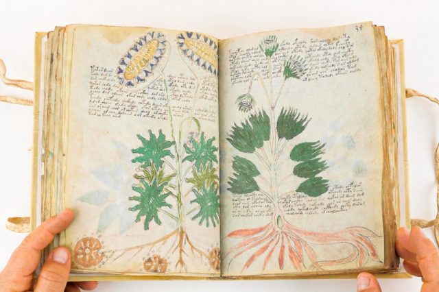 Researchers have failed to solve the mystery of the Voynich Manuscript for more than 100 years. Credit: Facsimile Finder/Youtube