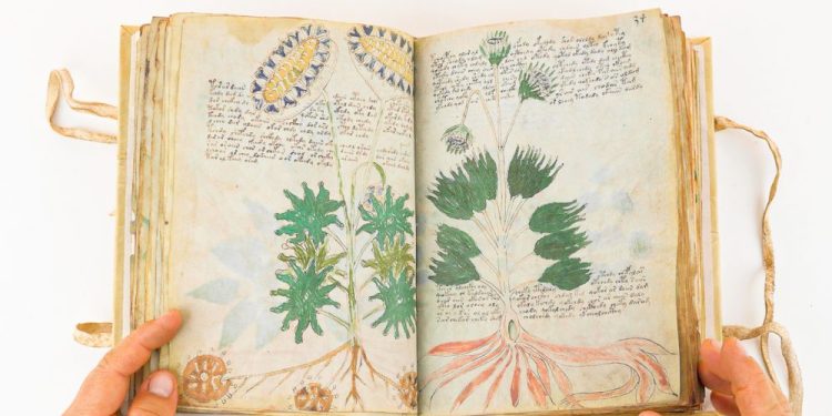 Researchers have failed to solve the mystery of the Voynich Manuscript for more than 100 years. Credit: Facsimile Finder/Youtube