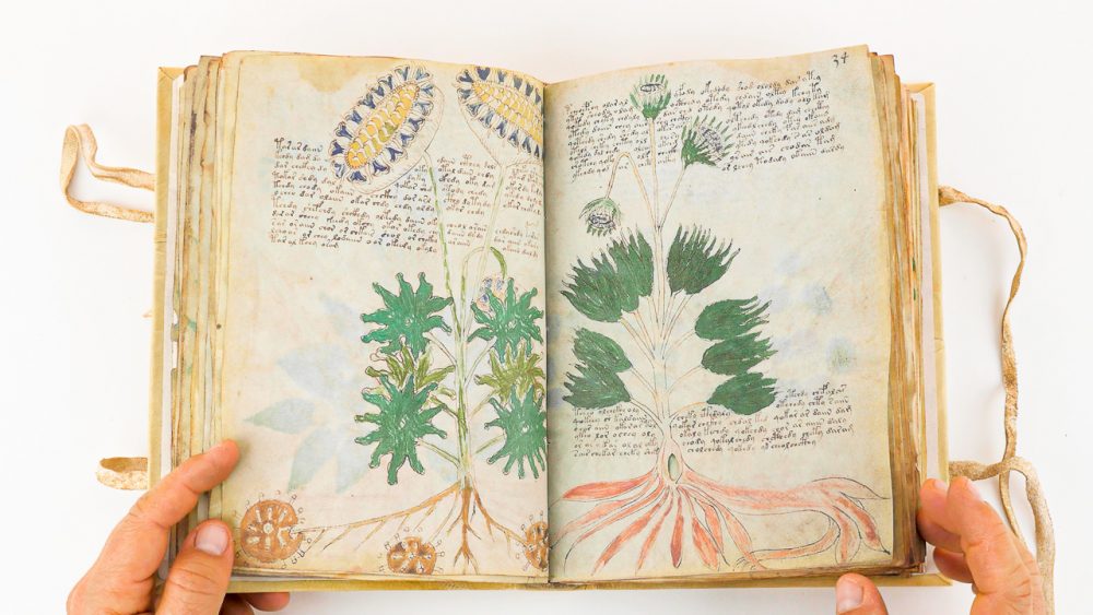 Researchers have failed to solve the mystery of the Voynich Manuscript for more than 100 years. Credit: Facsimile Finder/Youtube