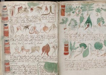 Pages from the Voynich manuscript showing a variety of plant and tree species. Many of the plants in the "book" do not resemble any of the species we have on Earth. Credit: The Atlantic