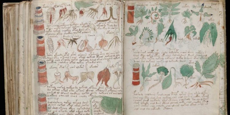 Pages from the Voynich manuscript showing a variety of plant and tree species. Many of the plants in the "book" do not resemble any of the species we have on Earth. Credit: The Atlantic