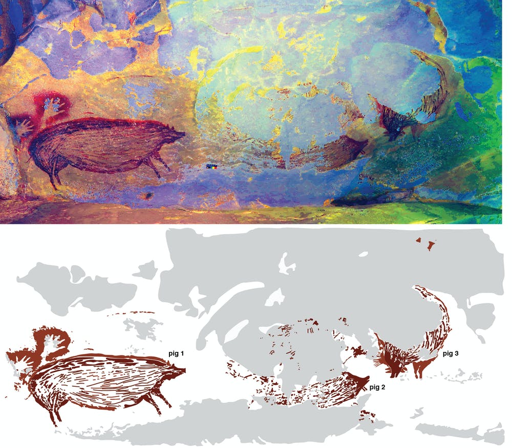 DStretch enhancement on the top image reveals the cave paintings in greater detail. On the bottom, you see a clearer example of the tracing of the paintings. Credit: Adhi Agus Oktaviana 