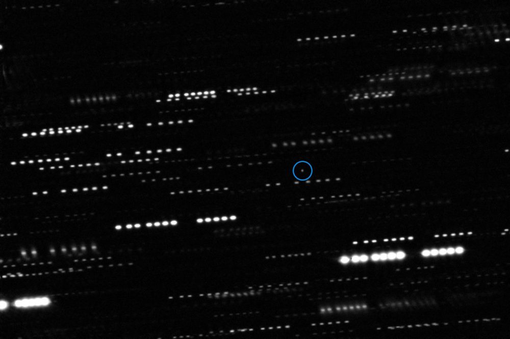 Oumuamua caught in an image from space. Credit: ESO/K. Meech