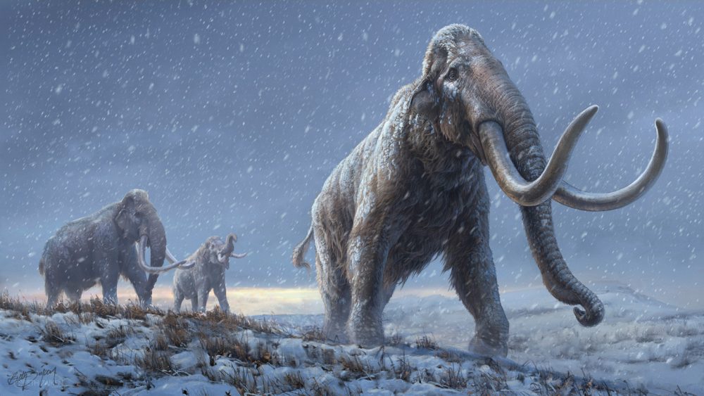 Scientists have extracted and studied the oldest DNA in history. Credit: BETH ZAIKEN/CENTRE FOR PALAEOGENETICS