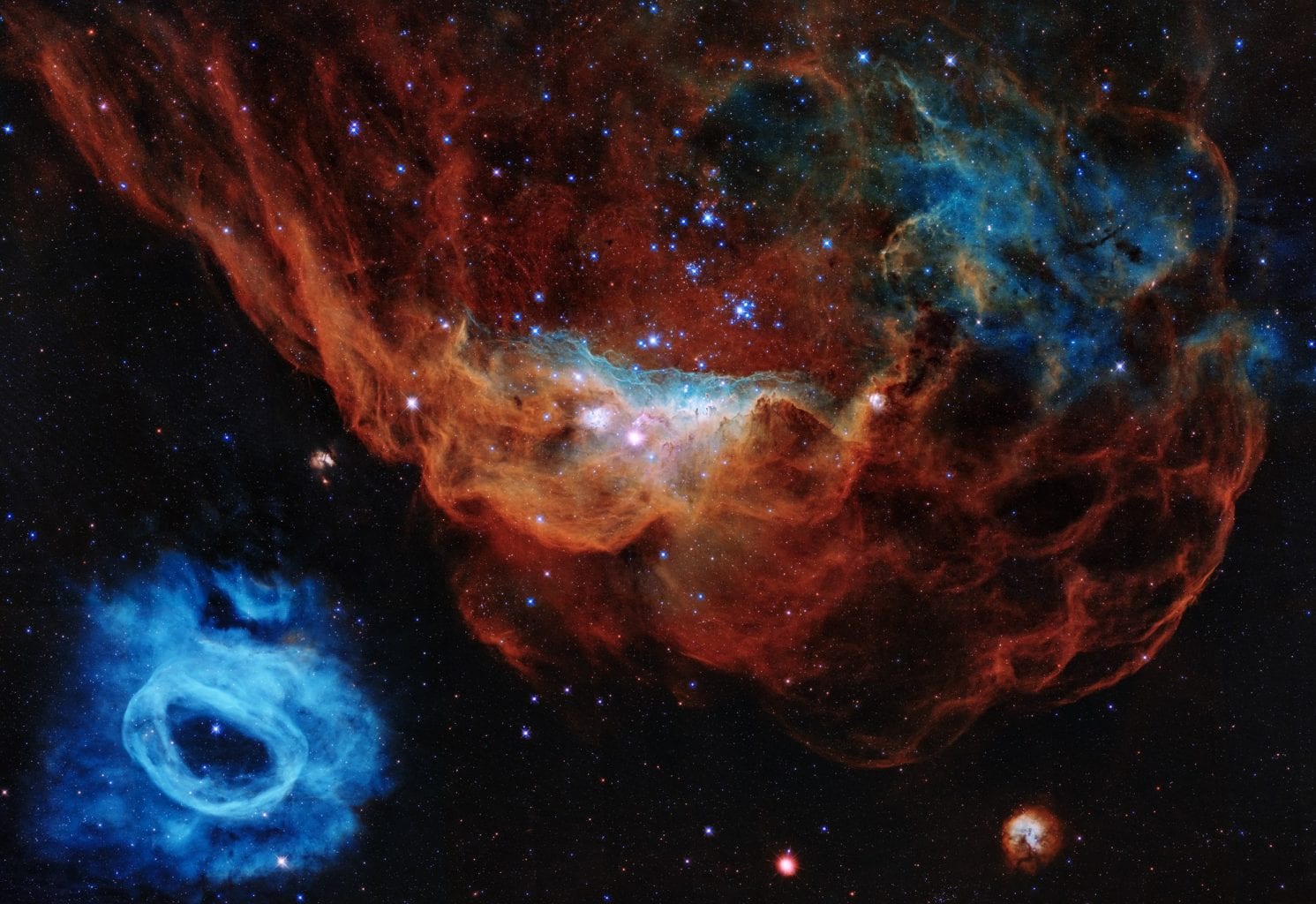 This Hubble portrait shows two nebulas - the giant red NGC 2014 and the blue NGC 2020 which are both in the Large Magellanic Cloud. Credit: NASA, ESA and STScI