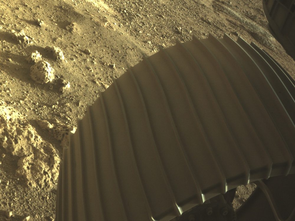 In this image, we see one of Perseverance's six wheels, snapped by one of the Hazard Cameras aboard the rover. Credit: NASA/JPL-Caltech
