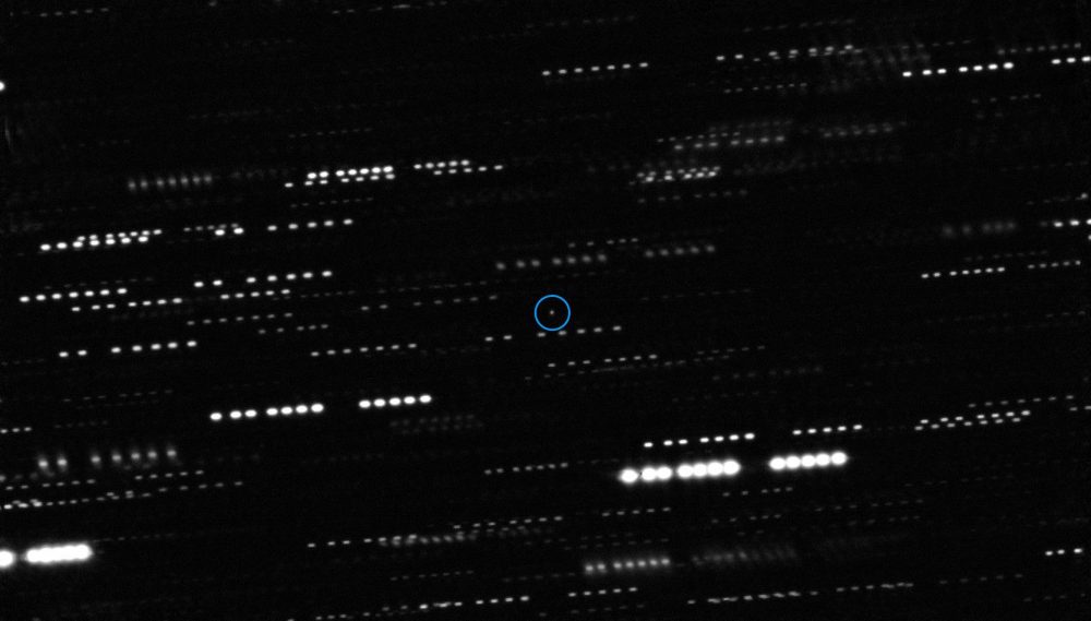 The best observation of Oumuamua available to the public at this point, circled in blue. Credit: ESO and K. Meech et al.