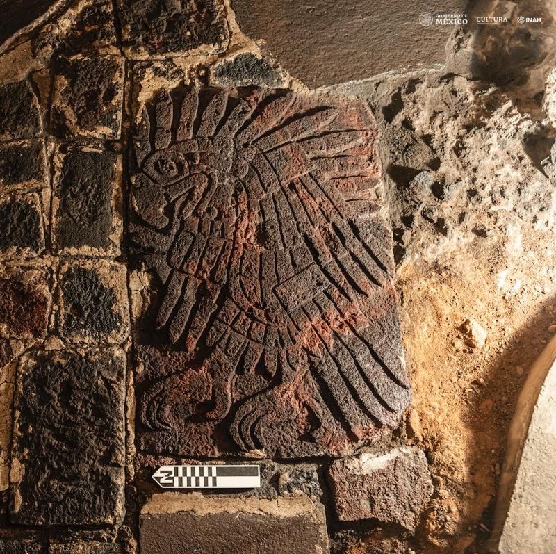 Here is a better view of the newly discovered relief, carved into the floor of the temple. Credit: Mirsa Islas / INAH