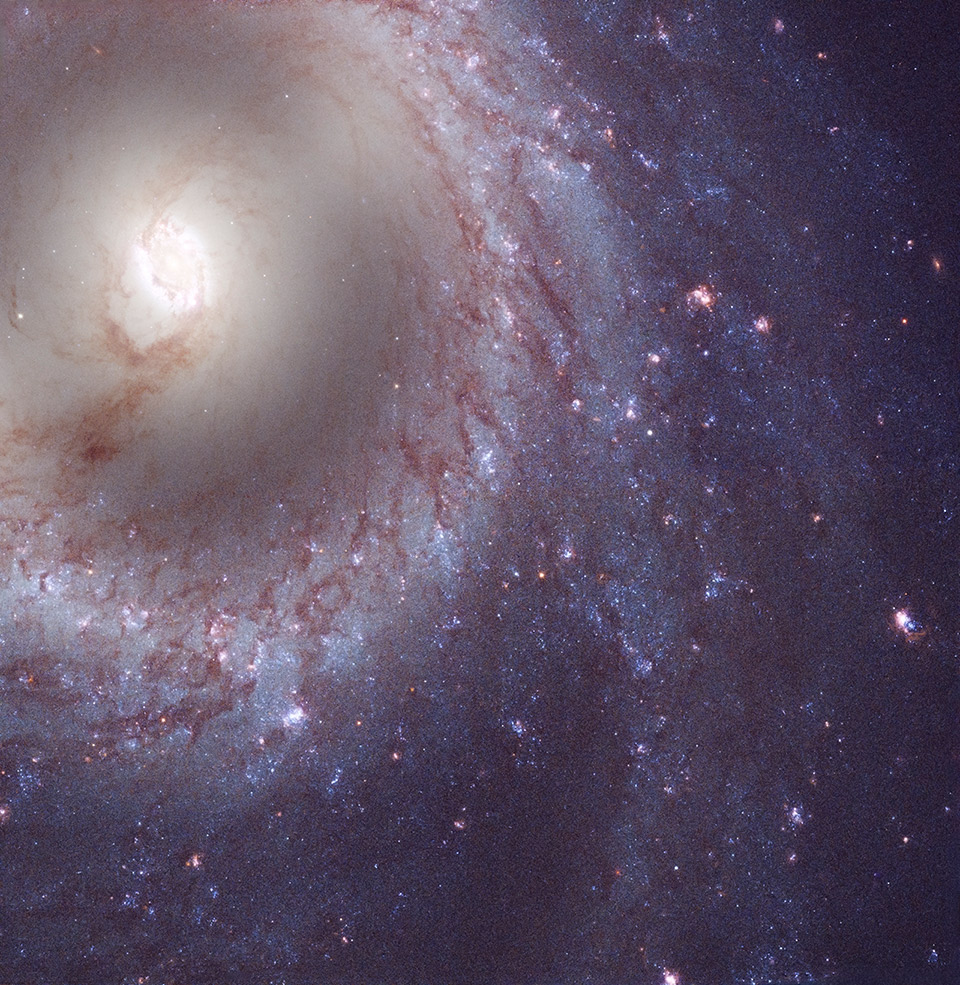 Object M 95, a barred spiral galaxy located 33 million light-years from Earth in the constellation Leo. The image combines Hubble's observations in the near infrared, optical and ultraviolet ranges. Credit: NASA, ESA, STScI, and D. Calzetti (University of Massachusetts, Amherst) and R. Chandar (University of Toledo)