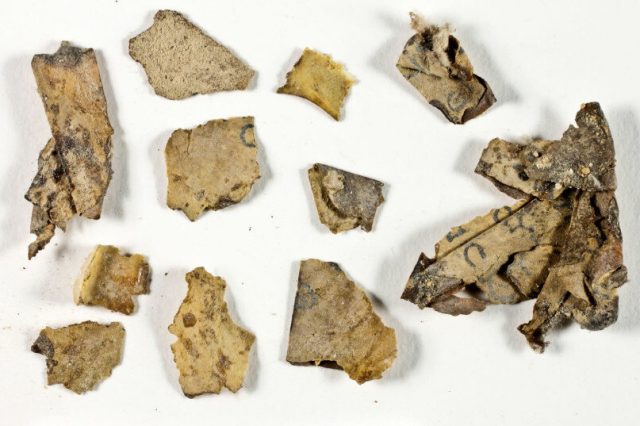 Fragments of the scroll of the Twelve Minor Prophets. Credit: Shai Halevi / Israel Antiquities Authority