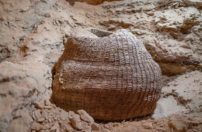 This is the world's oldest basket discovered in the Murabaat caves and dated to around 10,500 years ago. Credit: Yaniv Berman / Israel Antiquities Authority