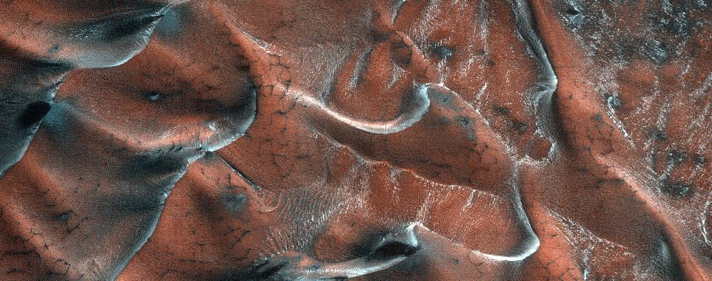 This image of sand dunes presents a 5-kilometer diameter field within a frosted crater in northern Mars. You can see a variety of dunes with different patterns and textures. Credit: NASA/JPL/University of Arizona