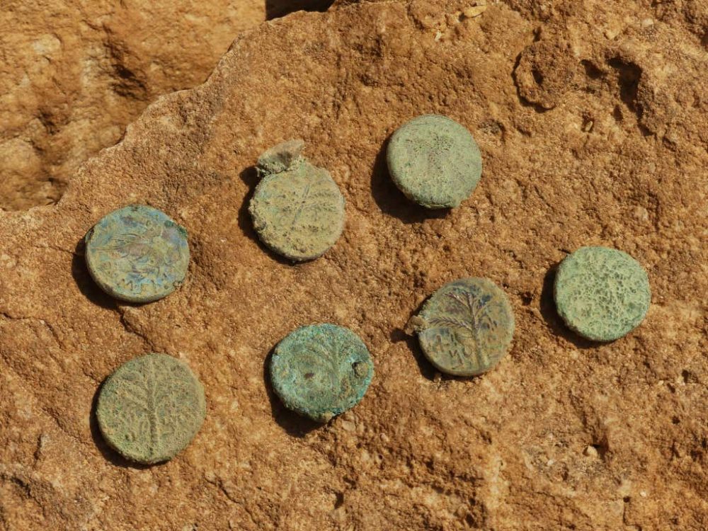 Coins found in the caves. Credit: Ofer Sion / Israel Antiquities Authority