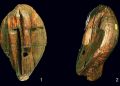 The Shigir Idol is the world's oldest wooden statue. Credit: Terberger et al., Quat. Int., 2021