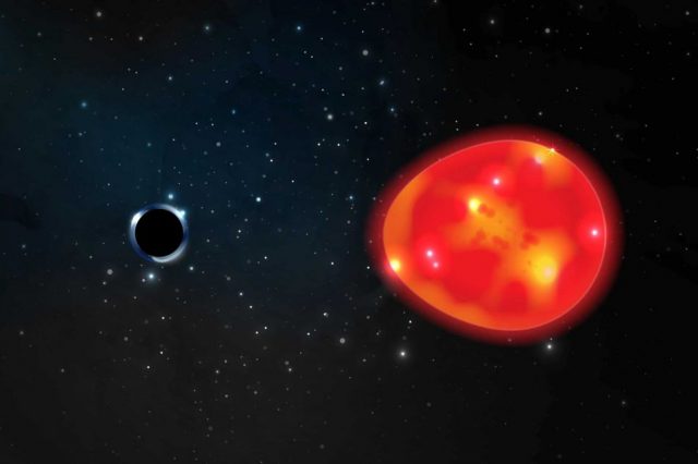 Artist's impression of the possible closest black hole to Earth and its red giant star companion. Credit: Ohio State University / Lauren Fanfer