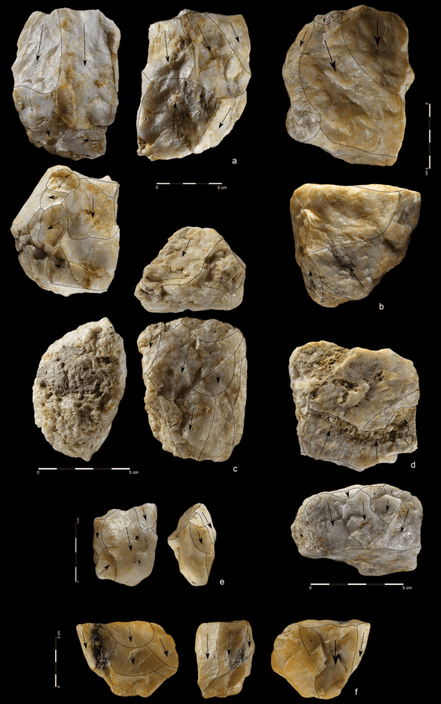 Quartzite unidirectional cores from the mine. Credit: Mirosław Masojć