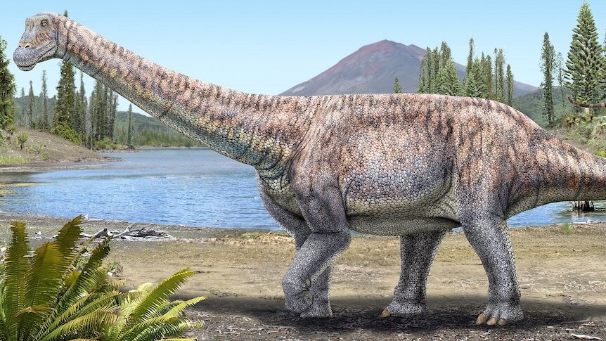 Artist's impression of the new dinosaur species based on the description given by paleontologists. Credit: Reuters / National Museum of National History