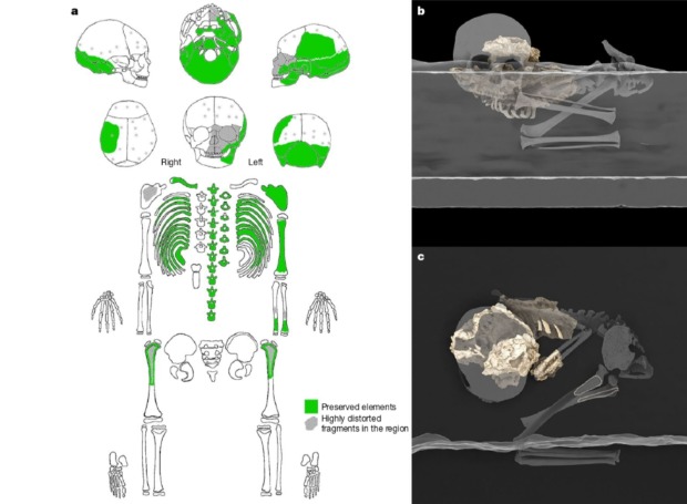Preserved bones from the child's body and their original position when archaeologists found the burial. Credit: M. Martinon-Torres et al. / Nature, 2021