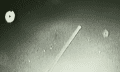 Footage from the live broadcast of the famous Tether UFO incident showing some of the strange bright objects believed to be UFOs by many. Credit: NASA