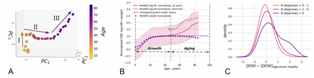 A - the method of analysis of principal components as applied to blood analysis and the aging trajectory built on the basis of the resulting model. B - the change in the DOSI index in more "fragile" Americans (red dotted line) and Americans in general (red solid line) in comparison with weight (blue dots) and predictions arising from the theory of growth and development (blue italics). C is the distribution of DOSI in the population; the older the cohort, the more people in it with strong deviations from the mean. Credit: Pyrkov et al. / Nature Communications, 2021