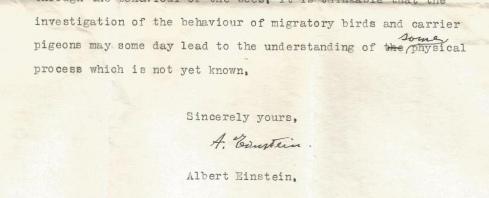 Scientists have revealed a long-lost letter from Einstein himself. Credit: Friedrich G. Barth et al. / Journal of Comparative Physiology A, 2021