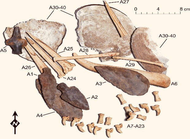 Accumulation of tools from the Fernvale site, some of which were used by ancient Native Americans for tattoos. Credit: A. Deter-Wolf et al. / Journal of Archaeological Science: Reports, 2021