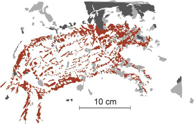 Rock painting from Leang Pattae cave. Delaminated areas according to 1950 data are highlighted in dark gray, delaminated areas according to 2013 data are highlighted in light gray. Credit: Huntley et al. / Nature, 2021