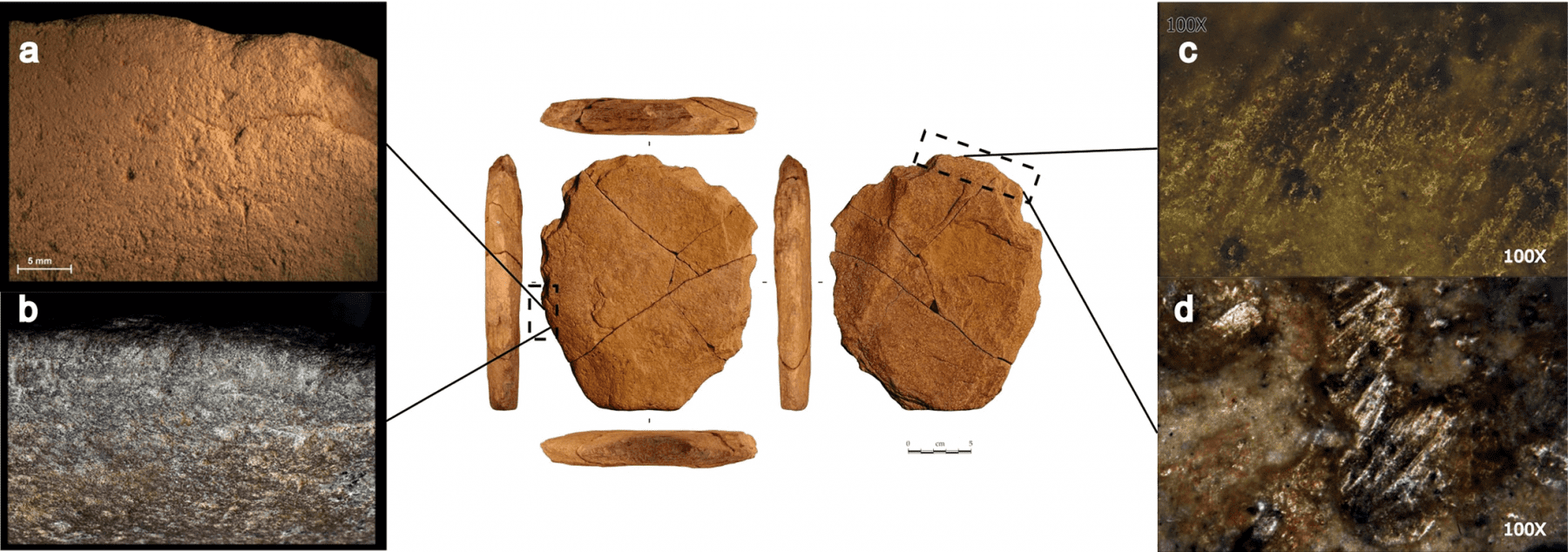 Traceological analysis of the stone artifact. Credit: Eric Boëda