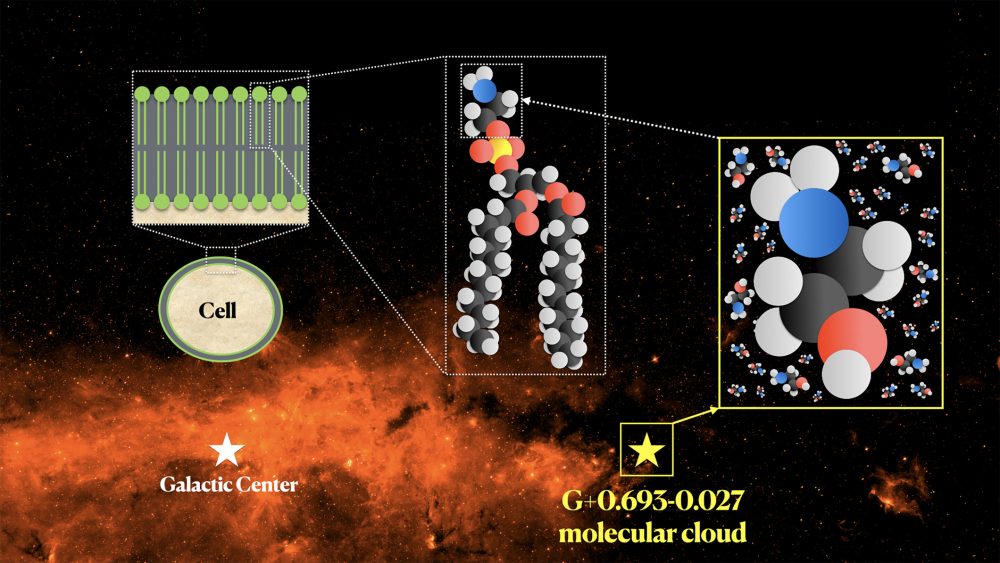 The molecular cloud is difficult to observe directly but scientists have continuously been discovering different building blocks of life like ethanolamine. Credit: Background image credit: NASA/JPL-Caltech. Composite image credit: Víctor M. Rivilla and Carlos Briones.
