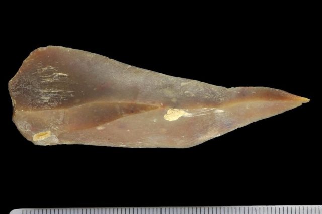 Flint point from the ancient site of Boker Tachtit where early humans lived together with neantherdals. Credit: (Clara Amit, Israel Antiquities Authority)
