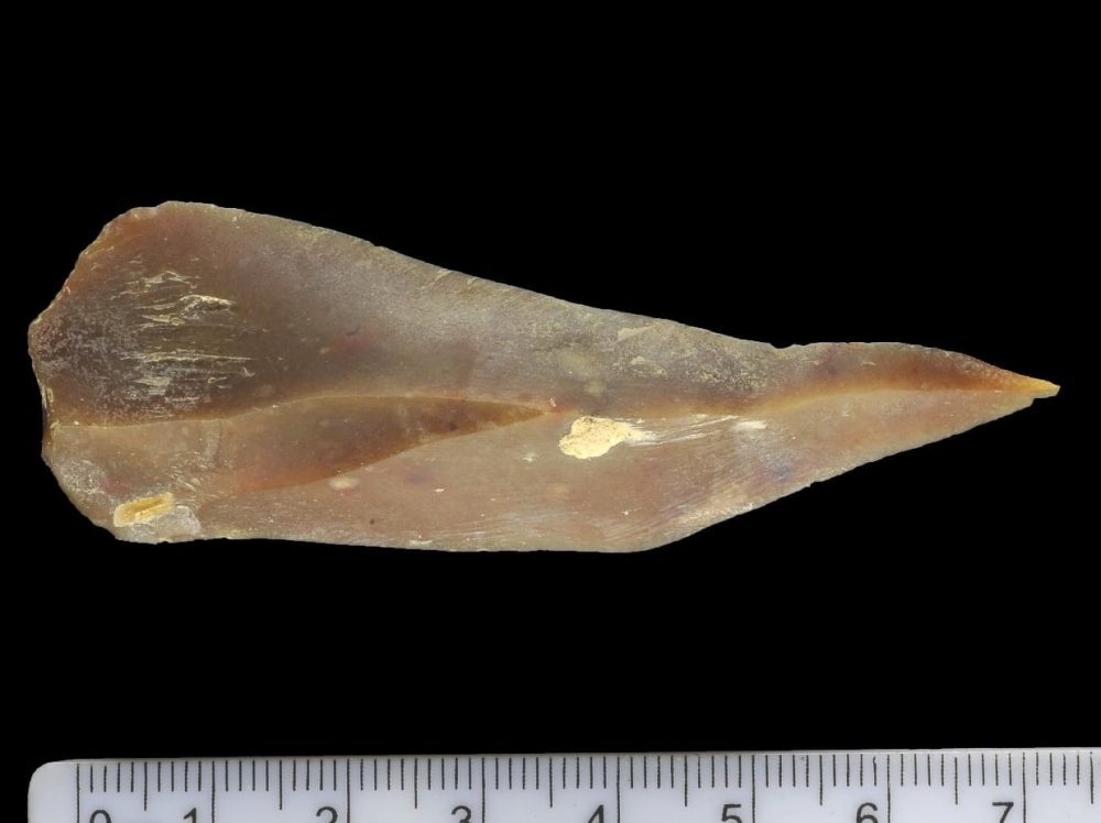 Flint point from the ancient site of Boker Tachtit where early humans lived together with neantherdals. Credit: (Clara Amit, Israel Antiquities Authority)