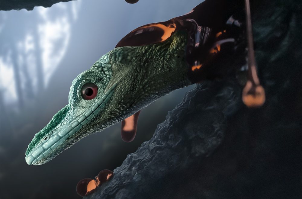 Artist's impression of Oculudentavis naga, a newly-discovered species of lizard. Credit: STEPHANIE ABRAMOWICZ/PERETTI MUSEUM FOUNDATION/CURRENT BIOLOGY