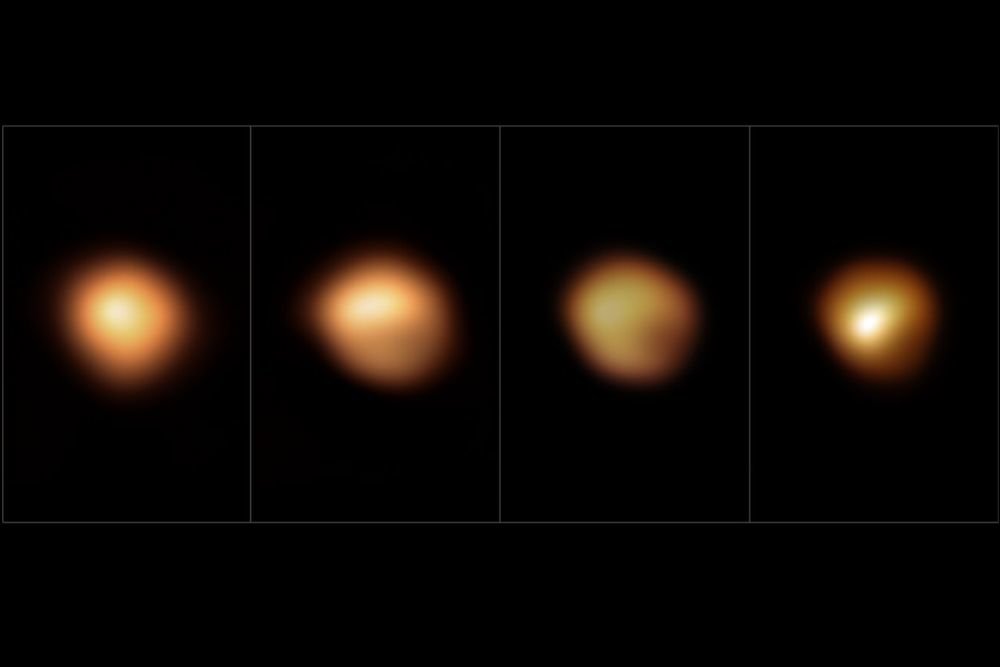 Images of Betelgeuse from different months during its "Great Dimming". Credit: M. Montargès et al. / ESO