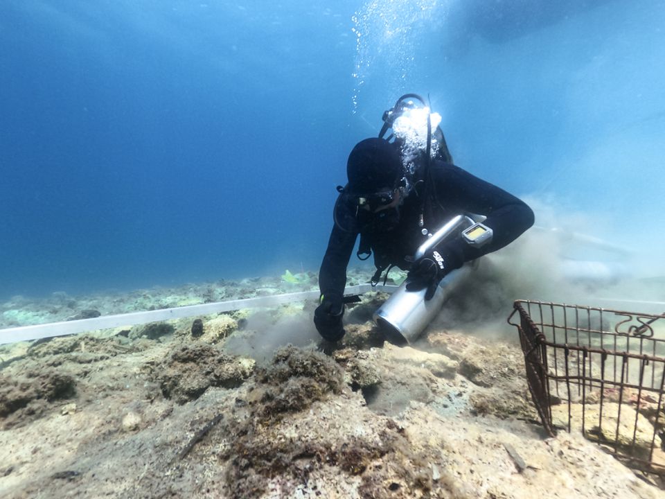Archaeologist captured during excavations underwater. Credit: Reuters/Mate Perica