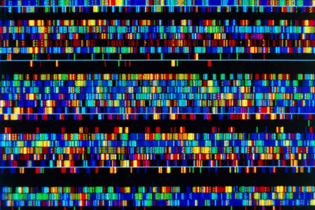 Visualization of the different sections of the sequenced human genome at the Wellcome Sanger Institute. Credit: James King-Holmes/Science Photo Library