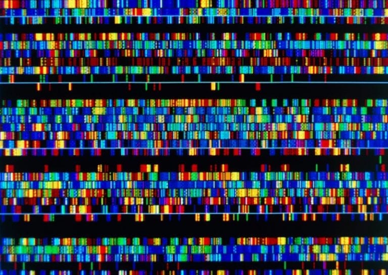 human genome mapped