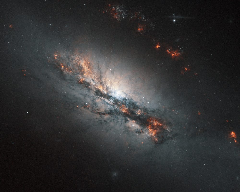 The barred spiral galaxy NGC 2146, imaged by the NASA/ESA Hubble Space Telescope. Credit: ESA/Hubble & NASA