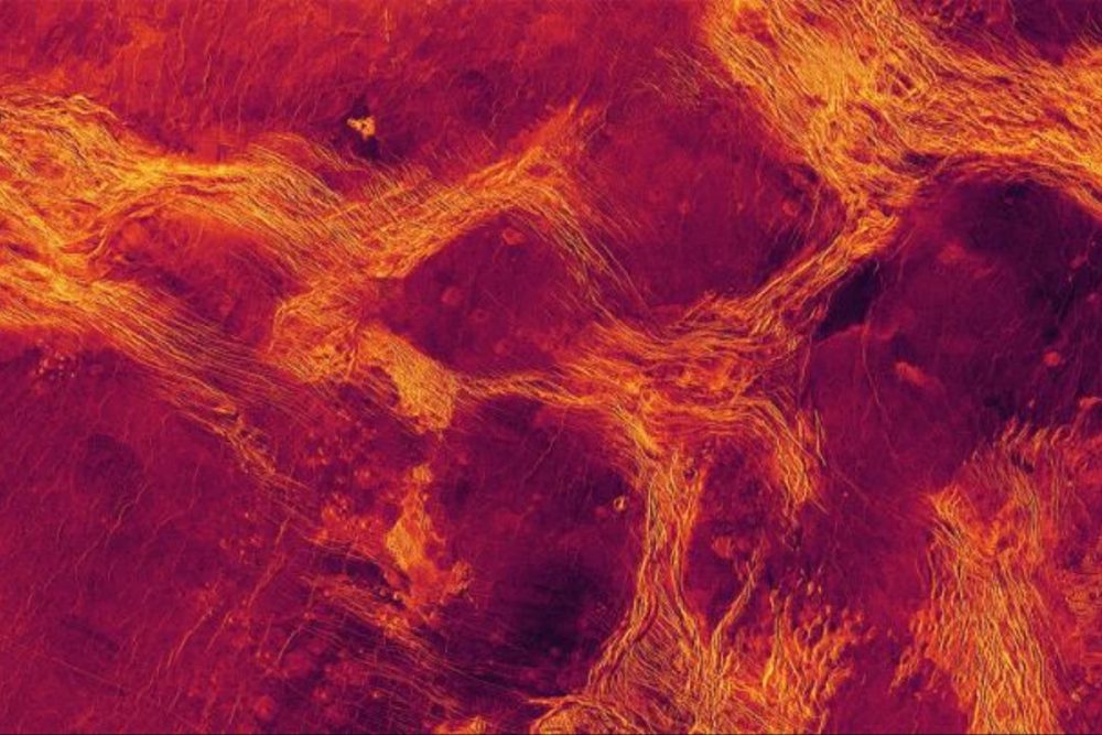 The Magellan probe's radar examined individual crustal blocks on the surface of the Lavinia lowland plain. Credit: Paul Byrne, Sean Solomon