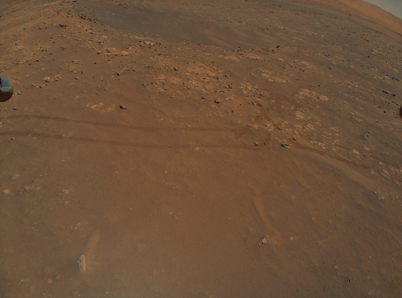 Rover tracks from the Perseverance rover captured during the ninth flight of the Ingenuity Mars Helicopter. Credit: NASA/JPL-Caltech